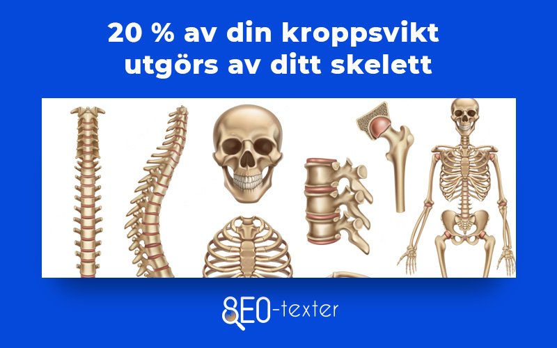 20 procent av ditt skelett utgors av din kroppsvikt