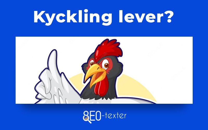 Kyckling lever