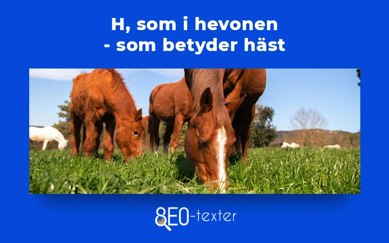 Hevonen