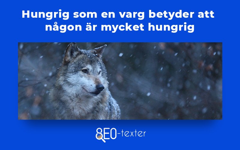 Hungrig som en varg