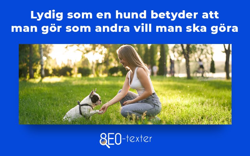 Lydig som en hund