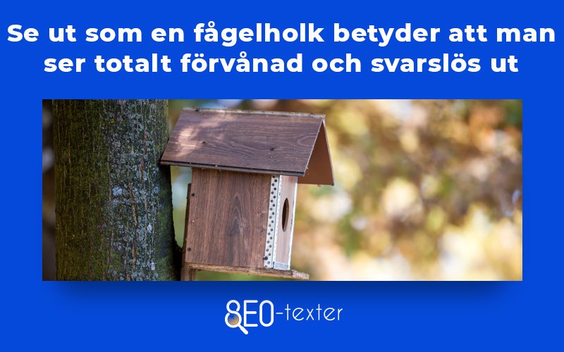 Se ut som en fagelholk