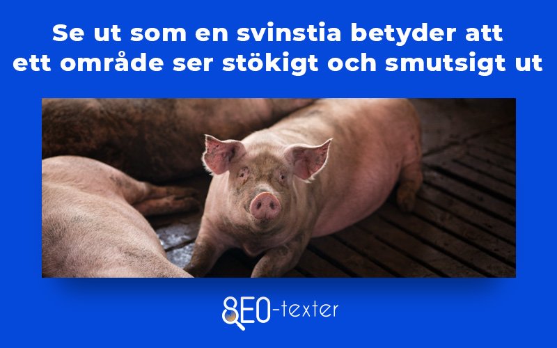 Se ut som en svinstia