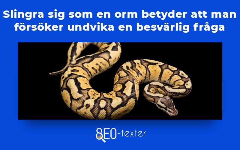 Slingra sig som en orm 1