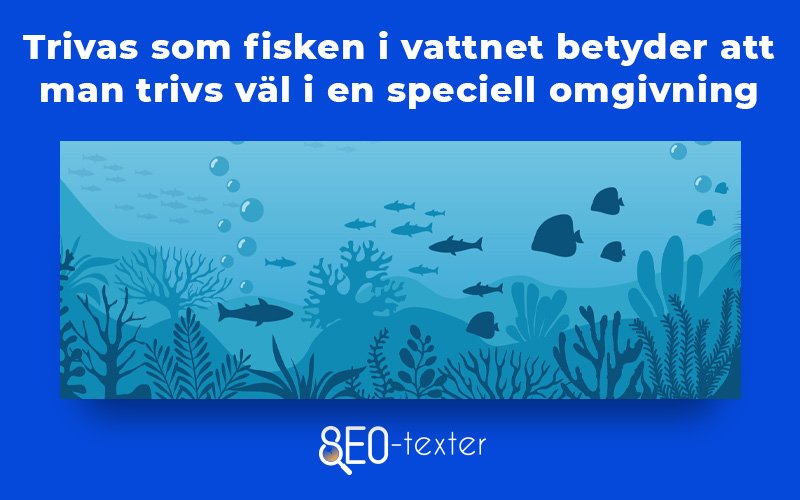 Trivas som fisken i vattnet